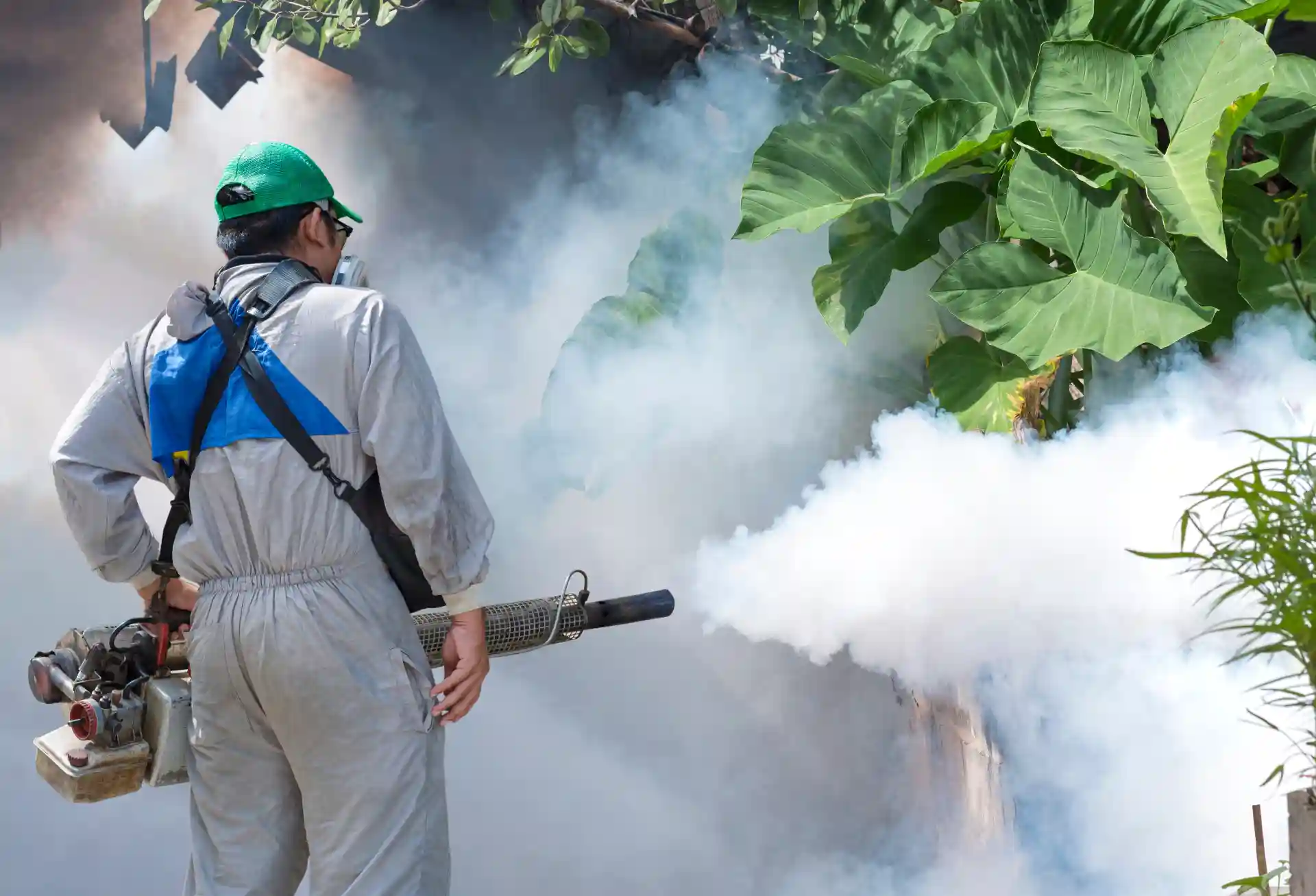 what is fogging machine