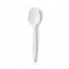 disposable spoons dubai
